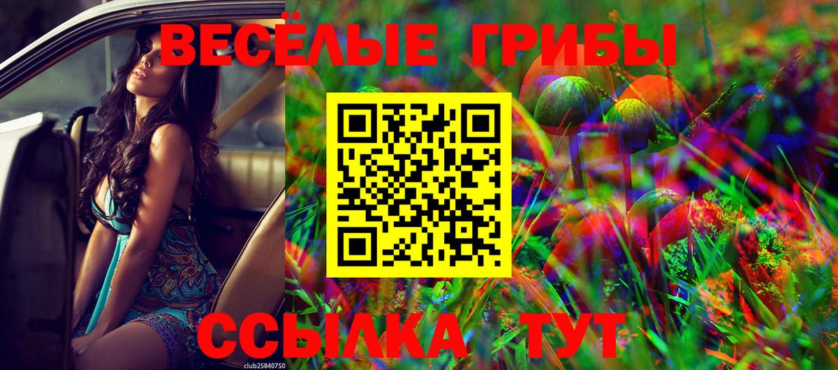 Псилоцибиновые грибы GOLDEN TEACHER Энгельс